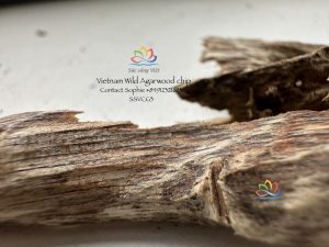 Vietnam natural agarwood