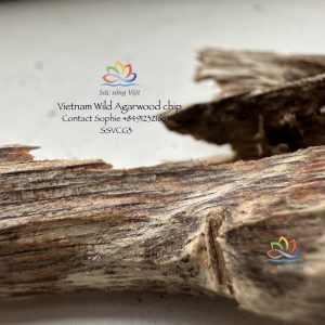 What is Agarwood?