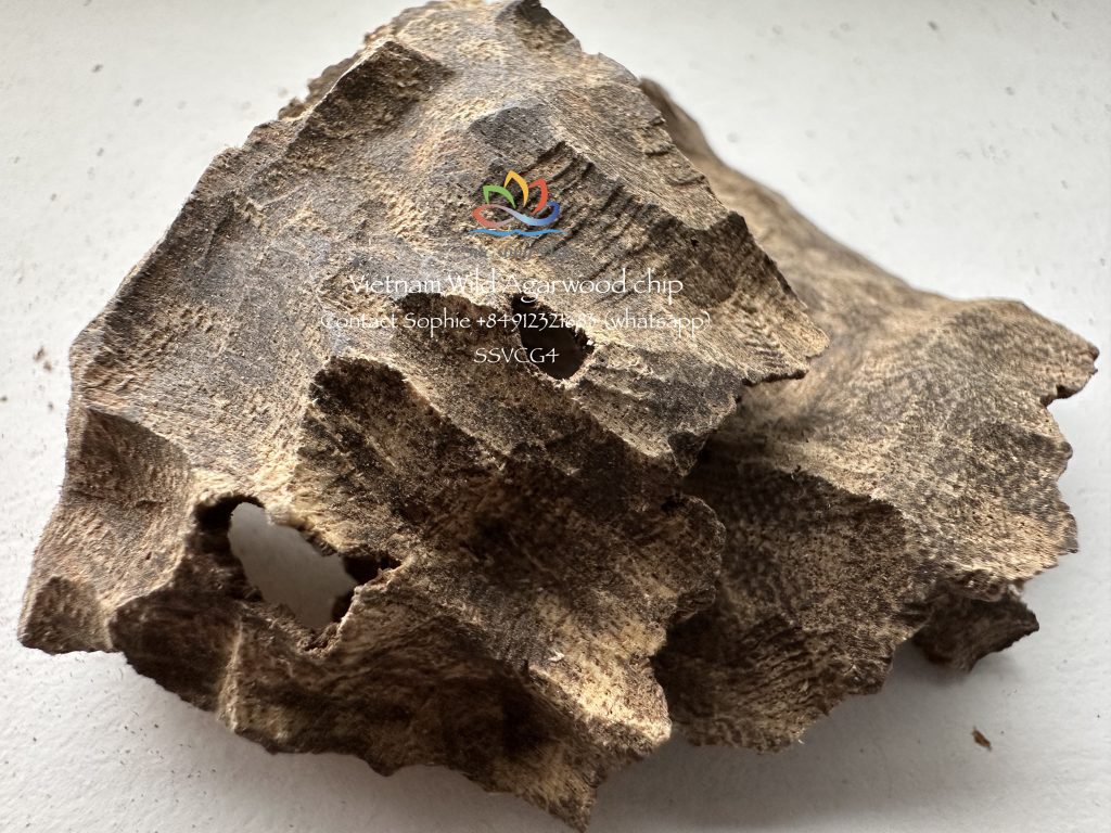 Vietnam owns the best agarwood of the world