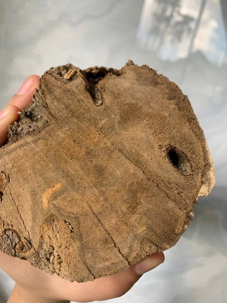 Agarwood block from Tien Phuoc Quang Nam, Vietnam